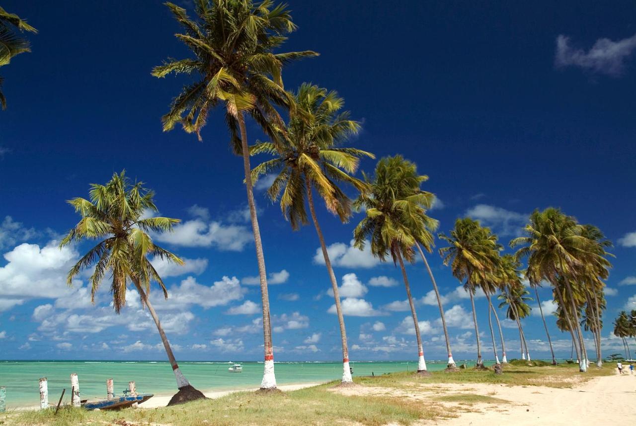 Beira Mar Jatiuca Maceio (Alagoas)